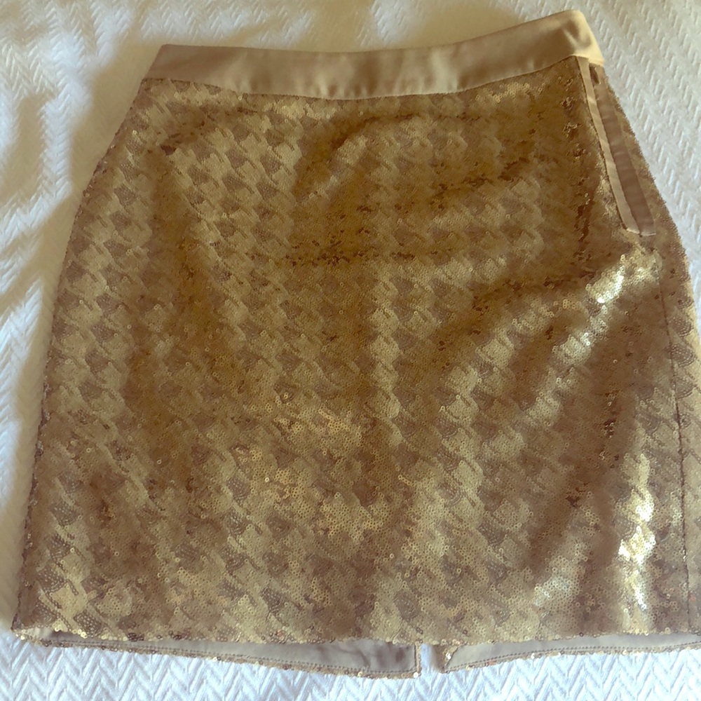 Gold Sequins Skirt